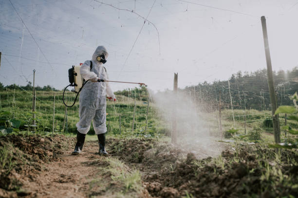 Best Pest Prevention Services  in North Edwards, CA