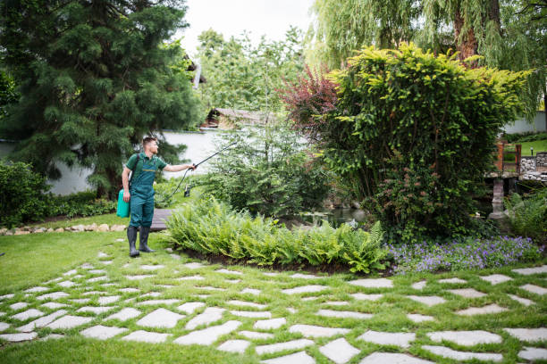 Best Best Pest Control Companies  in North Edwards, CA